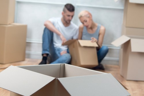 Selection of sturdy moving boxes and packing materials in Sidcup
