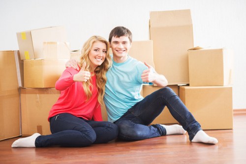 Professional van transport for furniture and boxes in Sidcup